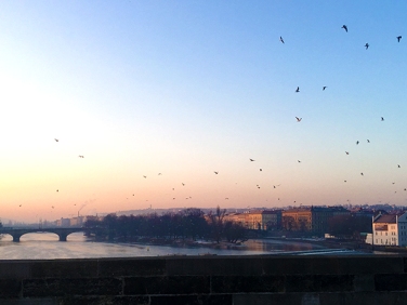 the Vltava river at sunrise