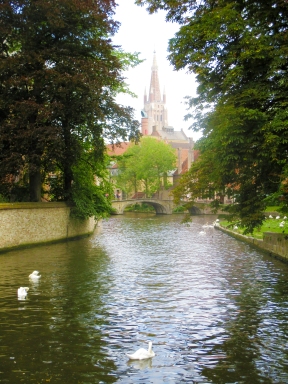 the famous swans of Bruges